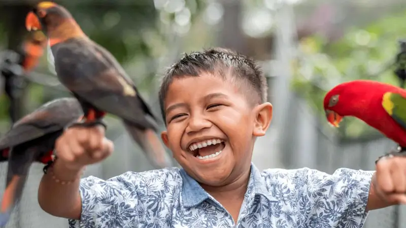 Anak-anak menikmati atraksi burung di Bali Bird Park, Batubulan, Gianyar