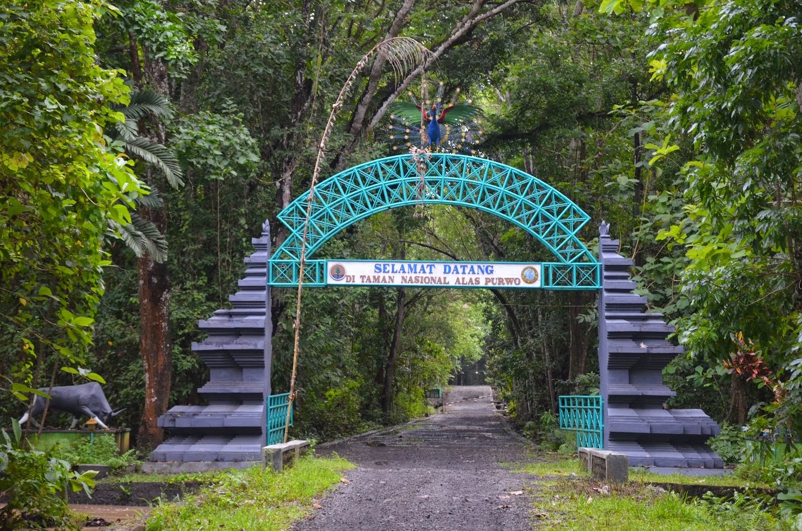 Kawasan hutan dan pantai di Taman Nasional Alas Purwo Banyuwangi