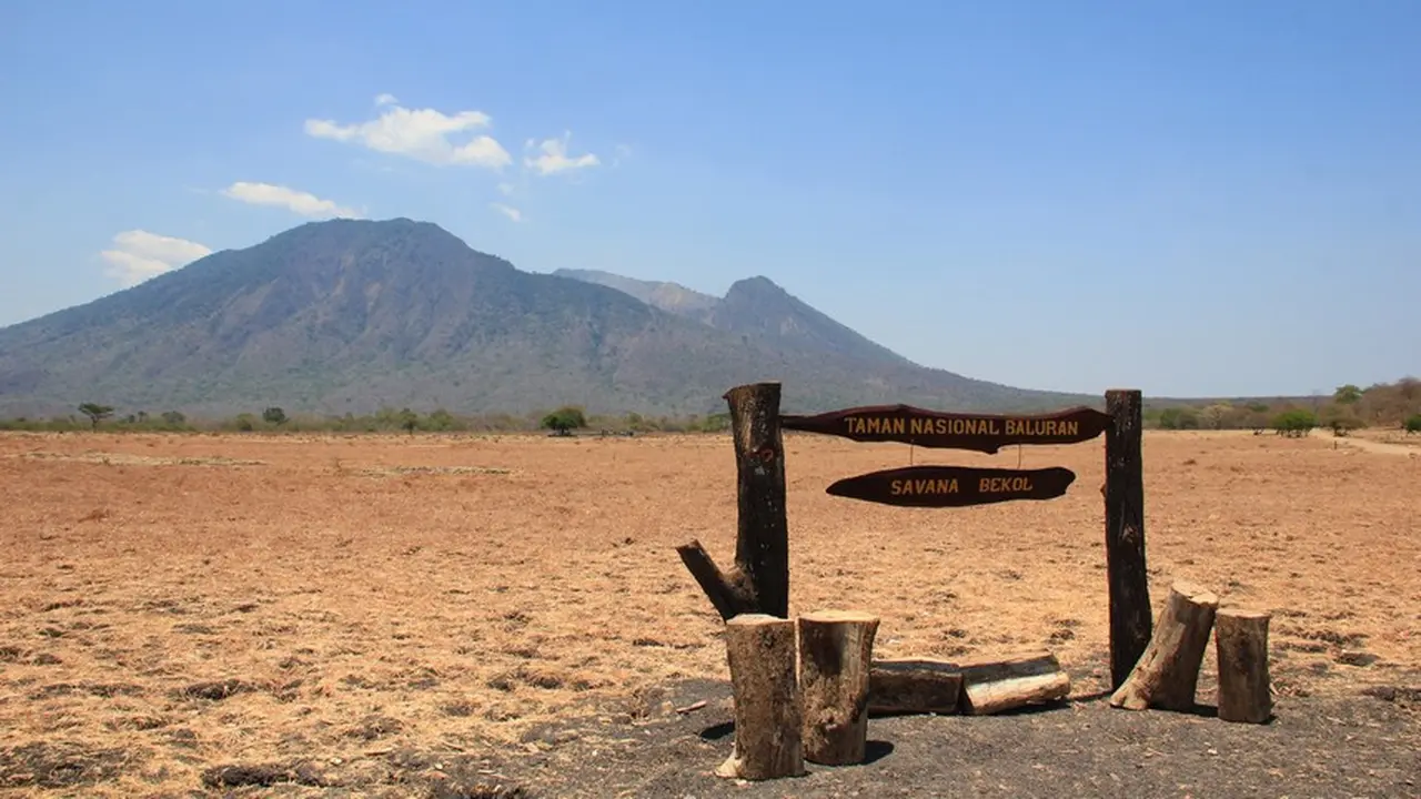 Hamparan Savana Bekol dengan latar Gunung Baluran di Taman Nasional Baluran